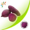 紫芋パウダー